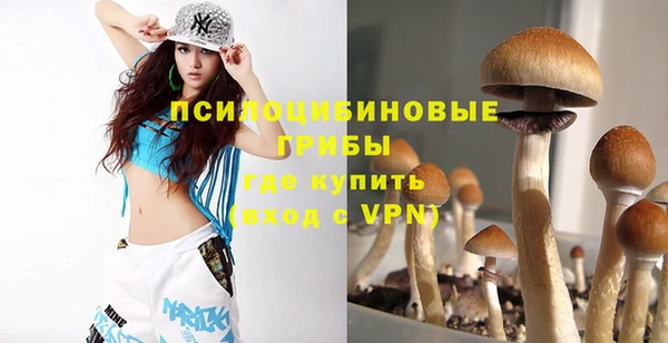 apvp Алексеевка