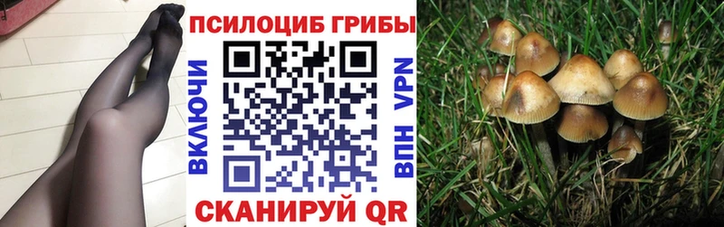 Галлюциногенные грибы мицелий Пучеж